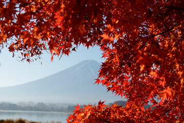 May the season of autumn be full of warmth and joy for you.