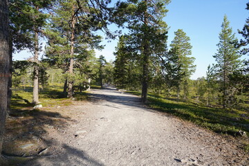 Hiking trail in Fulufjallet National Park in Dalarna, Sweden. Popular tourist destination for hiking. © PhotosbyPatrick
