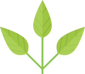 Green leaves branch icon. Natural plant symbol