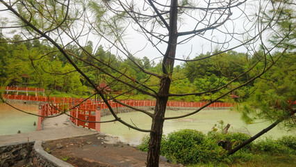 Hot spring lake with green trees