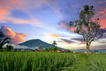 Sunset over the mountain and field