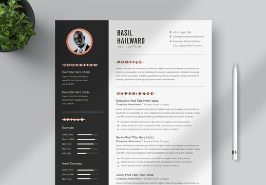 Professional Resume Layout