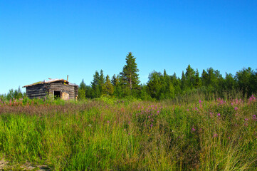 Abandoned winter cabin.