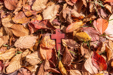가을의 십자가 사랑