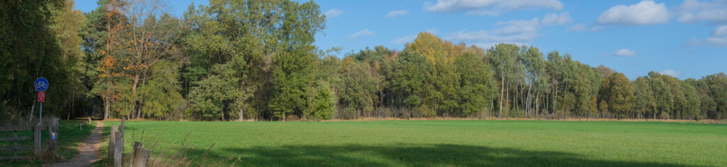parks and woodlands in Europe. Panoramic nature images and backgrounds. Gronau, Germany