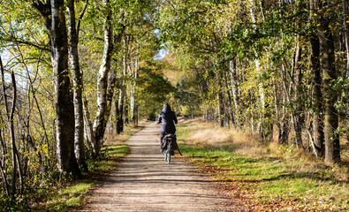 cycling in the park. Cycling outside in autumn. Autumn activities, healthy living