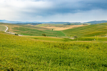 Obraz premium Italian landscape along via Francigena, between Siena and Ponte d'Arbia, Tuscany, June 2022