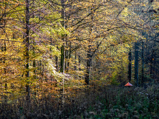 Obraz premium Markierung einer Erdgasleitung