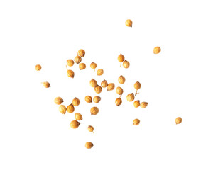 Coriander seeds isolated on transparent png