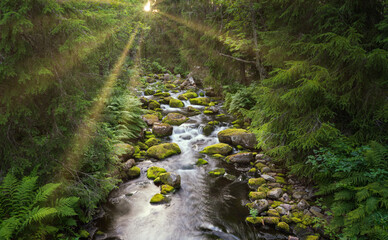 Beautiful creek in Fulufjallet National Park in Dalarna, Sweden. Popular tourist destination for hiking.  © PhotosbyPatrick