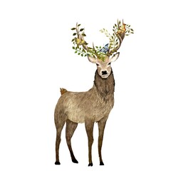 Deer brown liana green a watercolor illustration 