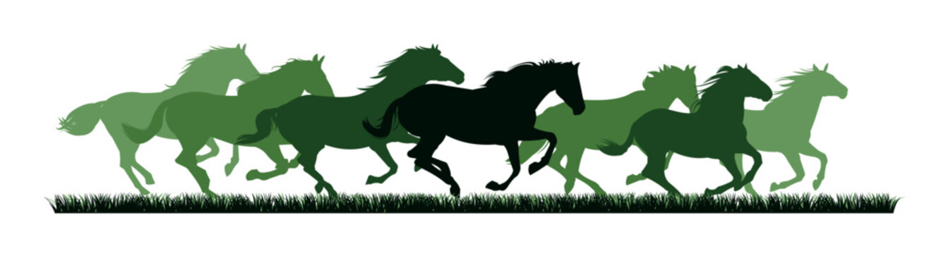 Herd of horses gallops fast. Image silhouette. Wild and domestic animals. Isolated on white background. Vector