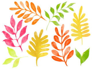 Watercolor fall autumn leaf foliage arrangement ornament hand drawn illustration element