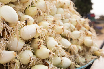 washed farm heads of onions