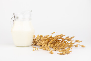 Oat milk in a jug and oat spike on light background. Vegan non dairy alternative milk.