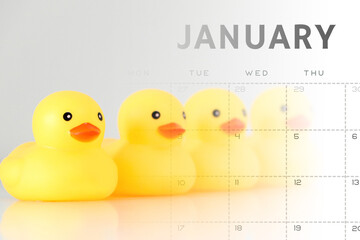 Four yellow rubber ducks in a row over January calendar, organisation and order concept