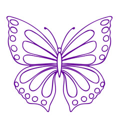 Butterfly contour PNG drawing. Insect butterfly coloring book.