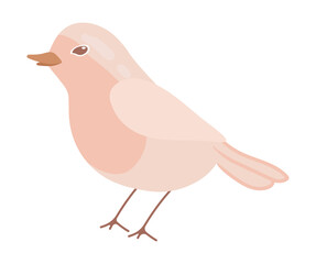 cute cartoon bird