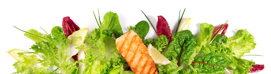Grilled Salmon Fillet with fresh Salad - Lettuce Panorama isolated on white Background Panorama