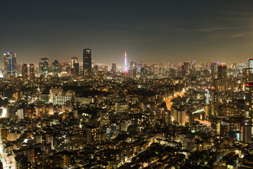 Fototapeta na wymiar 東京の夜景と東京タワー