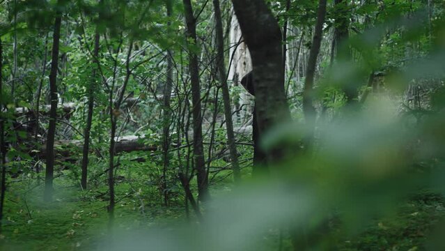 A mysterious black figure in a tunic walks through a dark and mystical forest. Unrecognizable hooded witch.