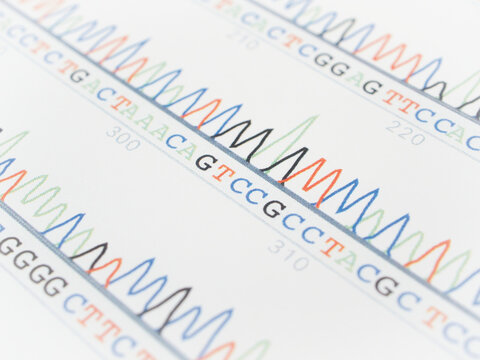 遺伝子検査（DNA配列）