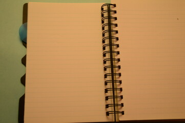 Notebook and pen. Open diary and pen to record