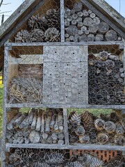 nest for wasps and bees