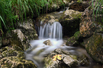 Mountain stream. Mountain landscape scene.