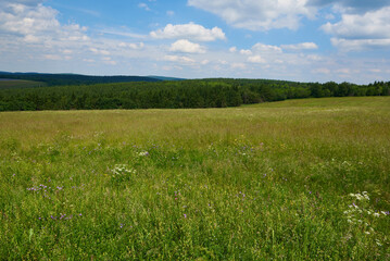 Frühling auf dem Erzgebirgskamm