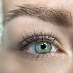 permanent eyebrow make up close up