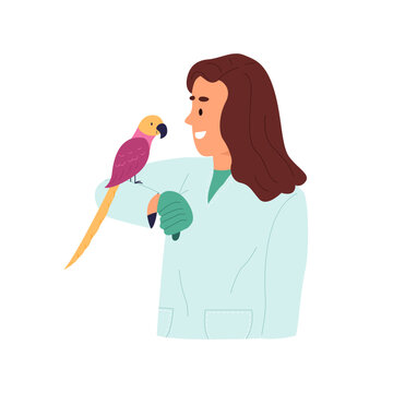 Doctor woman veterinarian examining a parrot. Tropical bird visit vet clinic. Pet healthcare concept. Flat graphic vector illustration isolated on white background