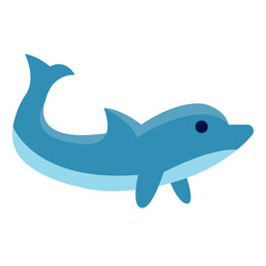 Dolphin. Transparency background