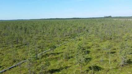Fototapeta na wymiar Alam-Pedja Reservaat, largest nature reserve in Estonia, Aerial 