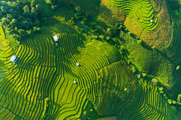 Aerial view morning scene of Pa Bong Piang terraced rice fields, Mae Chaem, Chiang Mai Thailand	