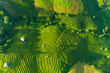 Aerial view morning scene of Pa Bong Piang terraced rice fields, Mae Chaem, Chiang Mai Thailand	