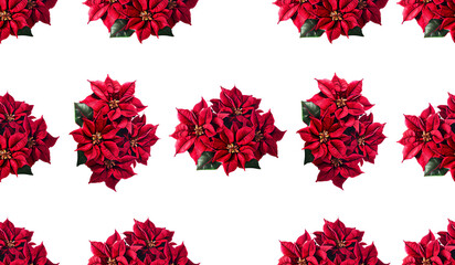 Christmas flower pattern isolated illustration pattern background.nature fabric flower textile banner background.decoration floral poinsettia red flower.holiday pattern texture.decorative gift wrap.