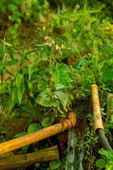 garden tools on the grass