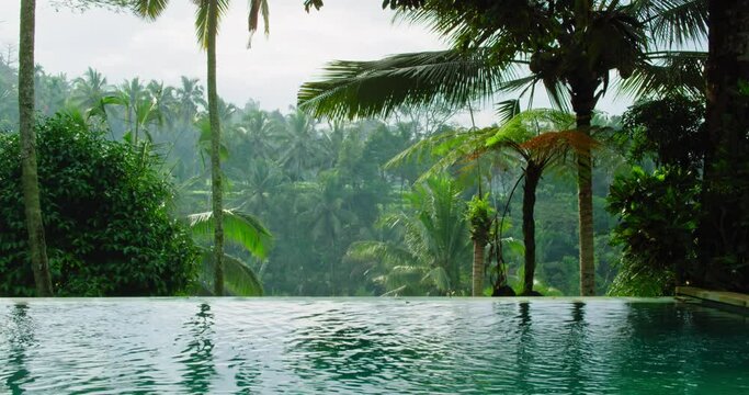 Rainforest green relaxation area poolside. Clean water ripple. Nature reflection. Early morning. Nobody. Amazing exotic garden with palm trees around tropical swimming pool.