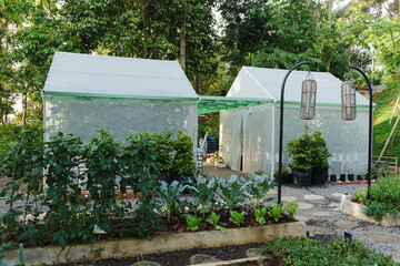 Two greenhouse for hydroponics fruit farming technique green environment technology