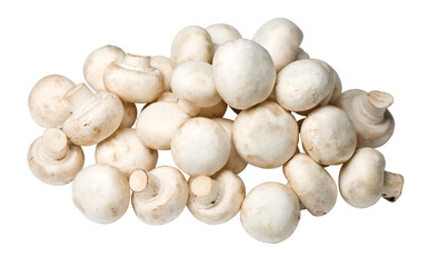Champignon mushrooms