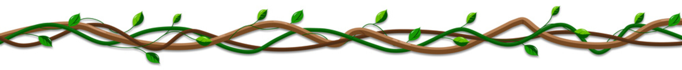 Rainforest green vines or twisted plant hanging on branch