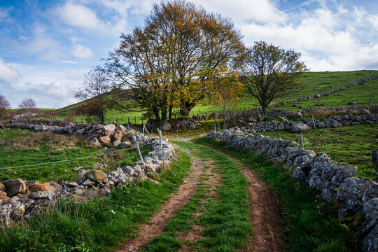beautiful footpath in lozere france , the saint james way or compostelle ,pilgrimage .
