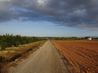 Fototapeta na wymiar Spanish Country Road Landscape, Valencia
