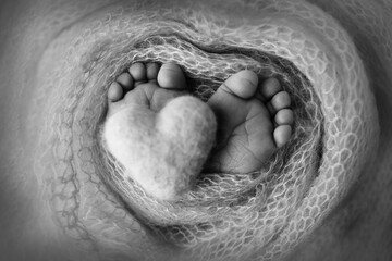 Feet of a newborn close-up in a woolen blanket. Pregnancy, motherhood, preparation and expectation of motherhood, the concept of the birth of a child. Black and white photography. 