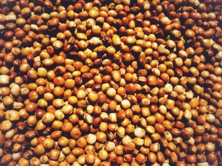 close up of a lot of seeds