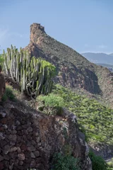 Foto op Canvas Paisaje con cactus y roques en el sur de Tenerife, Canarias © s-aznar