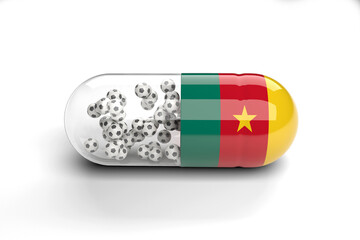 Eine Dosis Fußball für Kamerun