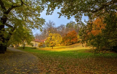 Naklejka premium Outono