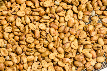 Arabica And Robusta Raw Coffee Beans in Kalimpong